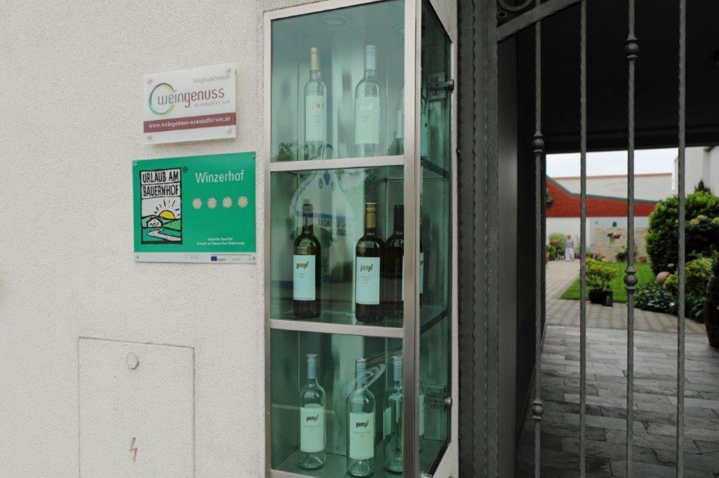 Weingut Apartment Hildegard Gangl Ильмиц Экстерьер фото