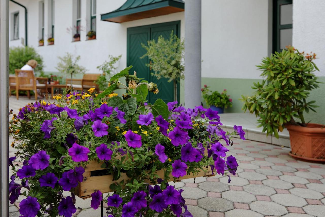 Weingut Apartment Hildegard Gangl Ильмиц Экстерьер фото