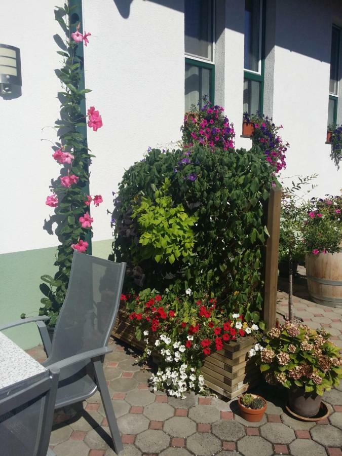 Weingut Apartment Hildegard Gangl Ильмиц Экстерьер фото